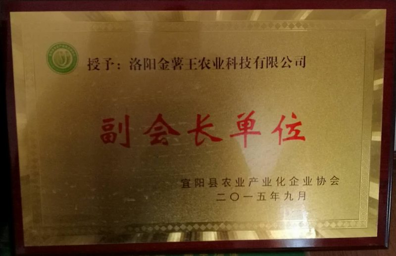 2015副会长单位