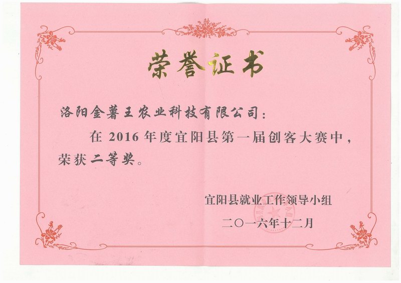 2016宜阳县第 一届创客大赛二等奖