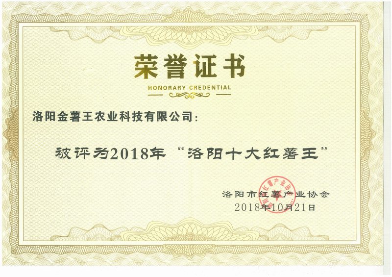 2018洛阳十大红薯王